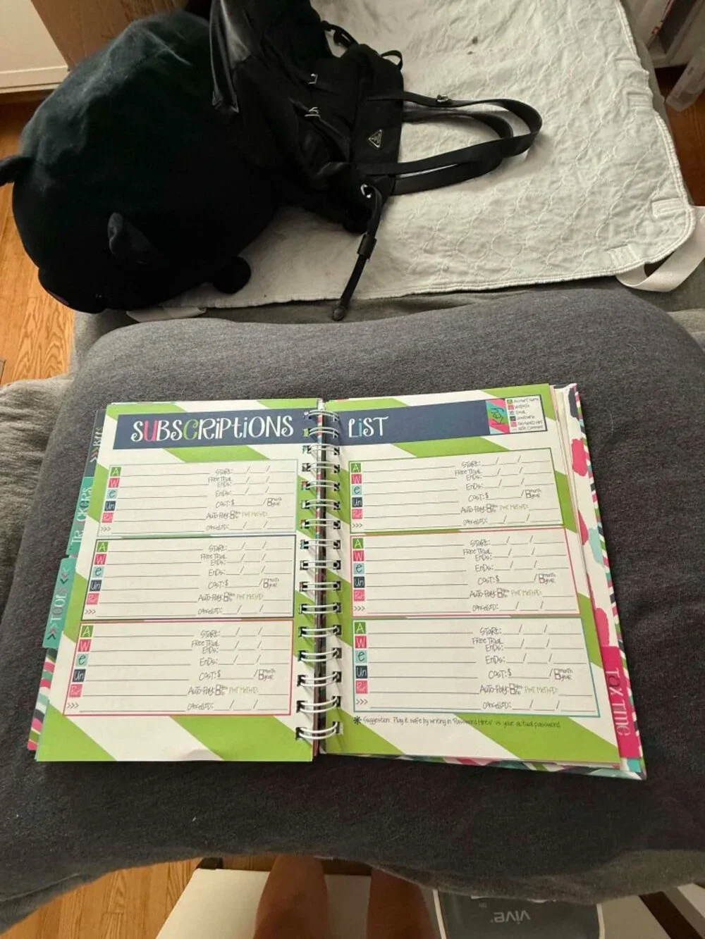 Denise Albright Budget Binder™ Undated 12-Month Budget Planner Workbook